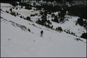 IMG 2909