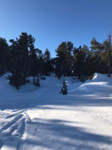 A13