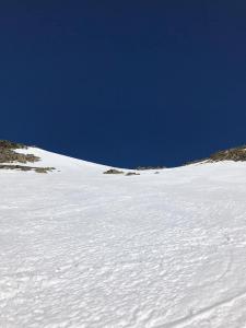 A31