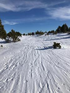 A35